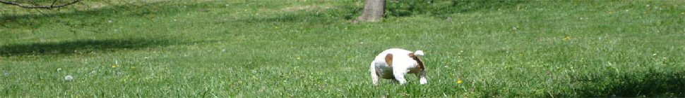 Le blog de Gérard Morvan header image 2