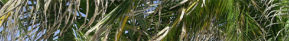 Le blog de Gérard Morvan header image 3